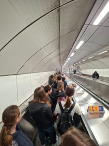 e51203b5-06fd-4acc-ad6d-db40de27350f